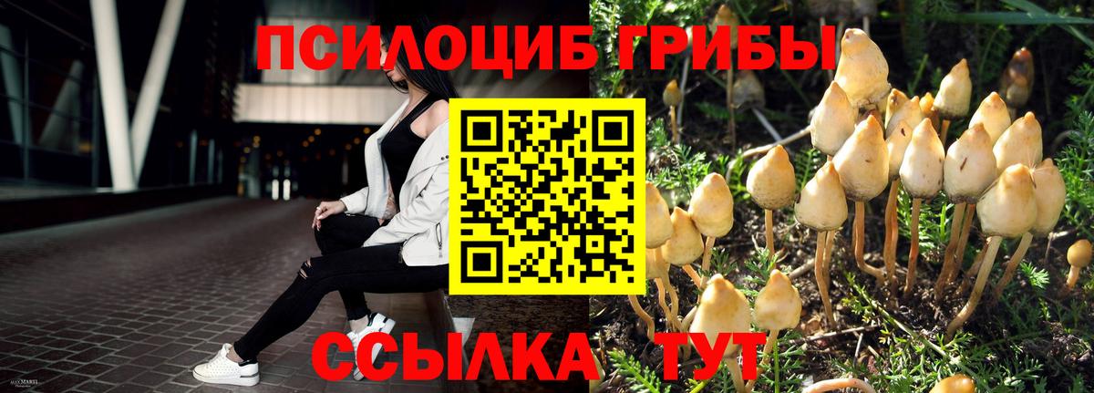 Галлюциногенные грибы мицелий  Вход с VPN  Псилоцибиновые грибы Psilocybine cubensis  Саяногорск 